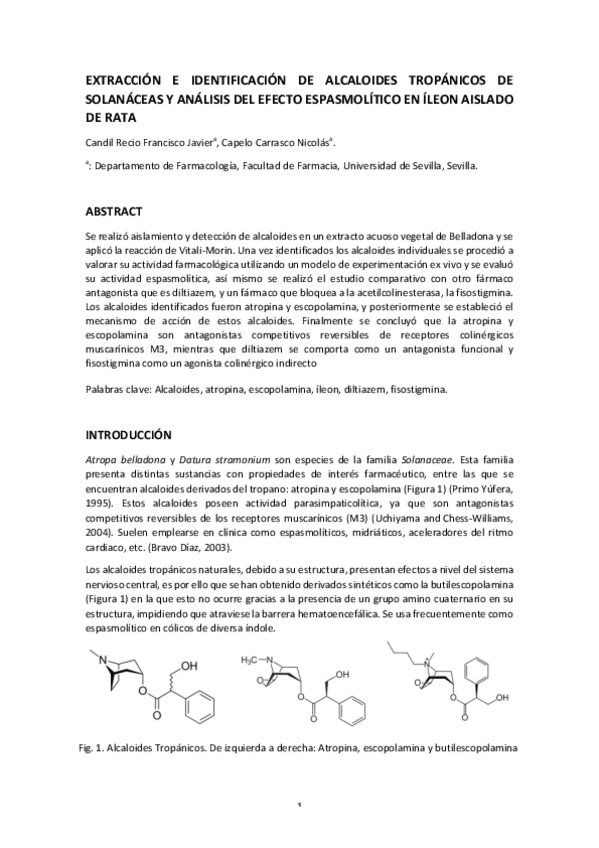 Miniatura del documento Nicolás Capelo; Fco Javier Candil Articulo Cientifico.pdf