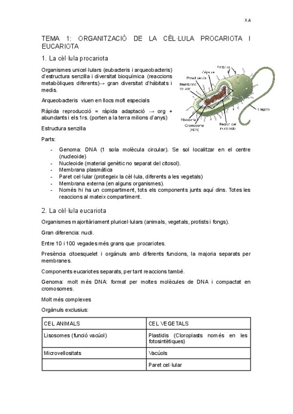 Miniatura del documento TEMA-1-Cellula-procariota-i-eucariota.docx.pdf
