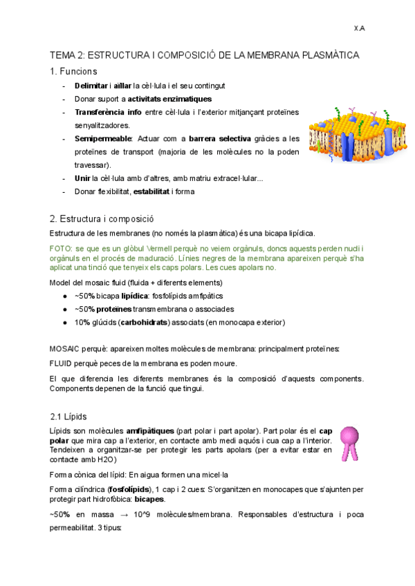 Miniatura del documento TEMA-2-Membarana-plasmatica.pdf