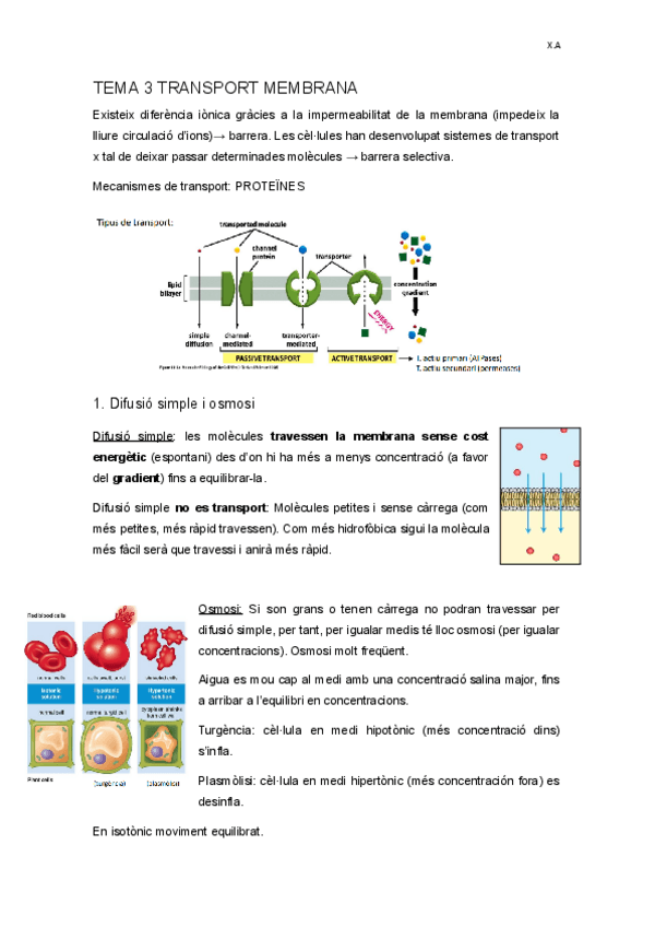Miniatura del documento TEMA-3-Transport-Membrana.docx.pdf