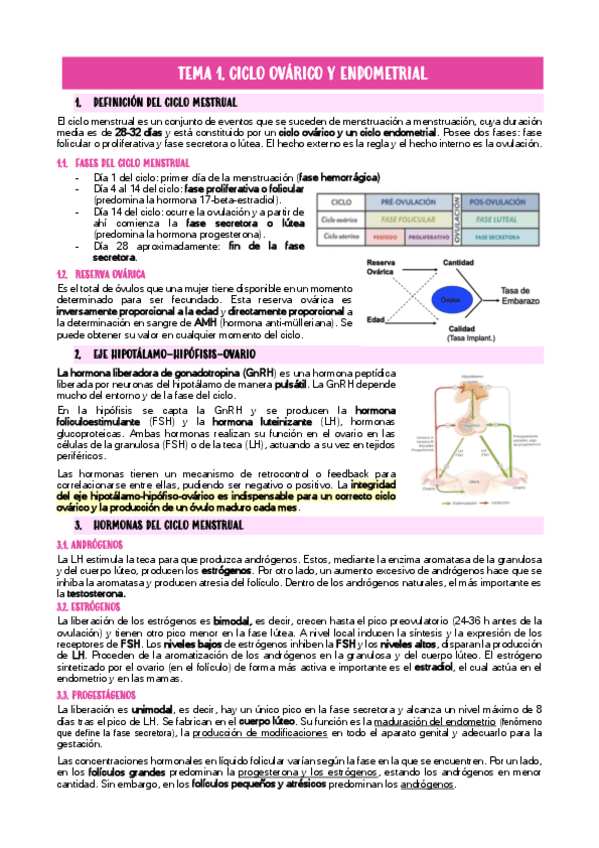 Miniatura del documento Apuntes de Ginecología.pdf
