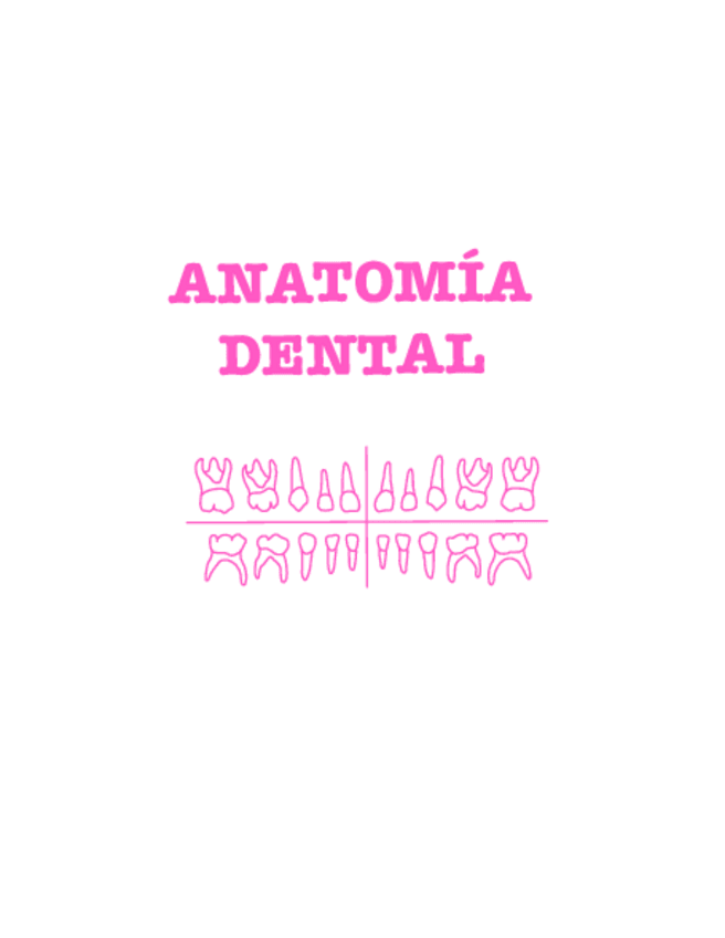Miniatura del documento Anatomia-Dental.pdf