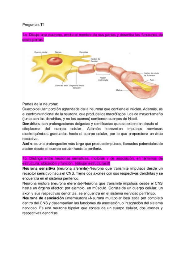 Miniatura del documento Preguntas-T1.pdf