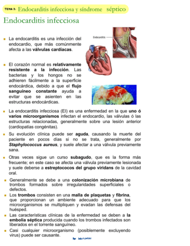 Miniatura del documento Microbiologia-BLOQUE-3-Y-4.pdf