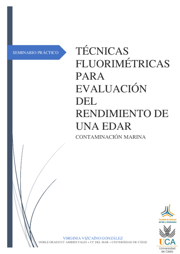 Miniatura del documento SEMINARIO-EDARVirvizcaino.pdf