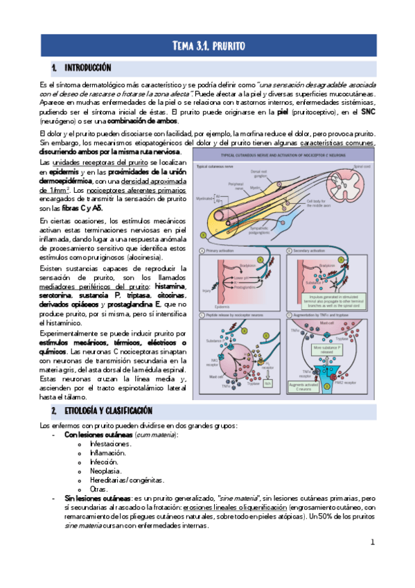 Miniatura del documento Tema-3-Prurito-Urticaria-y-mastocitosis-22-23.pdf