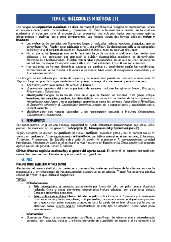 Miniatura del documento Tema-20.-Micosis-I.pdf