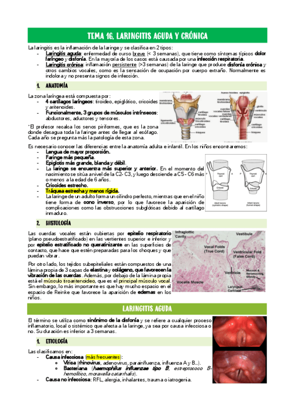 Miniatura del documento TEMA-16.pdf
