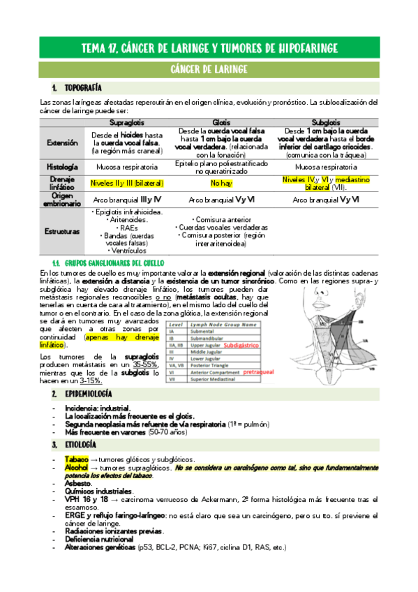 Miniatura del documento TEMA-17.pdf