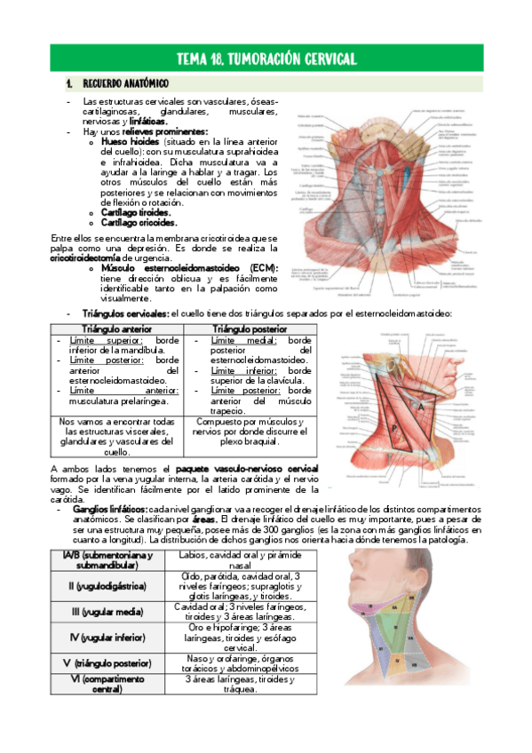 Miniatura del documento TEMA-18.pdf