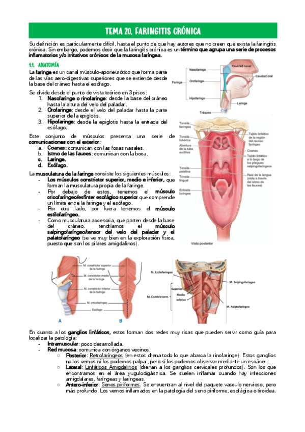 Miniatura del documento TEMA-20.pdf