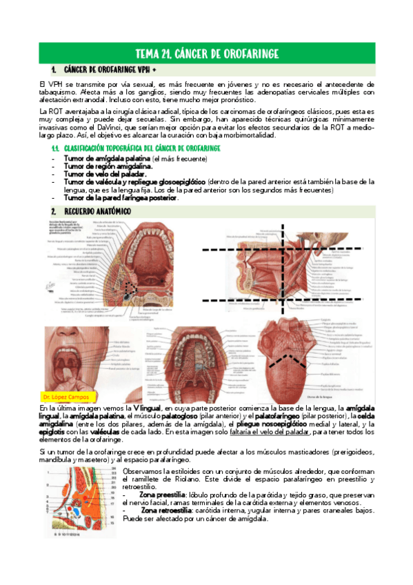 Miniatura del documento TEMA-21.pdf