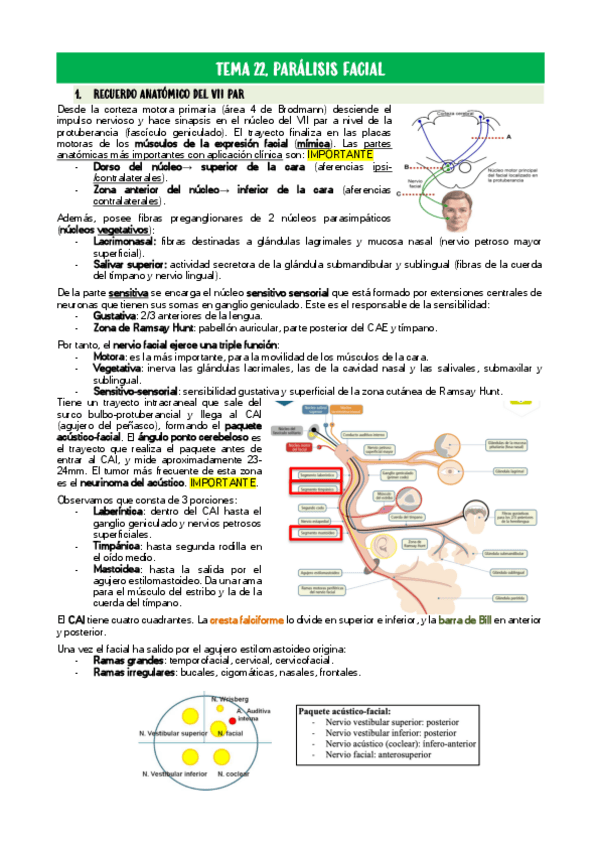 Miniatura del documento TEMA-22.pdf
