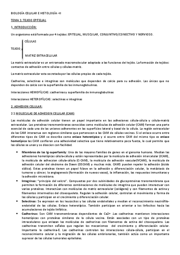 Miniatura del documento apuntes bch imprimir.pdf