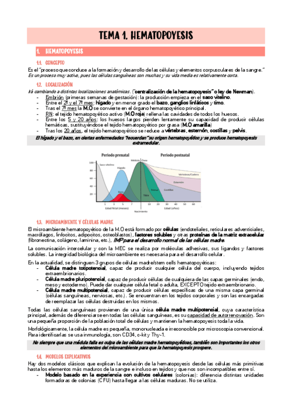 Miniatura del documento TEMA-1.pdf
