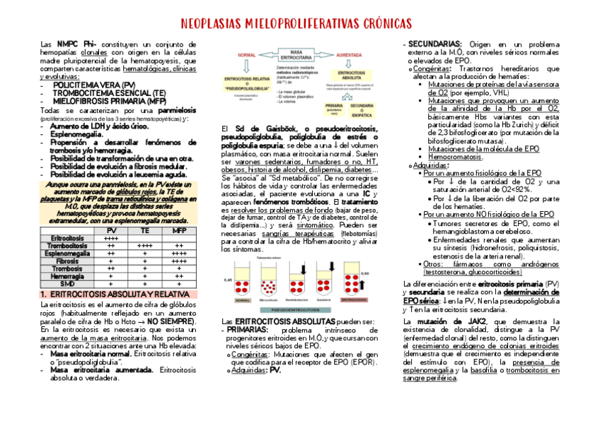Miniatura del documento TEMAS-16-Y-17.pdf