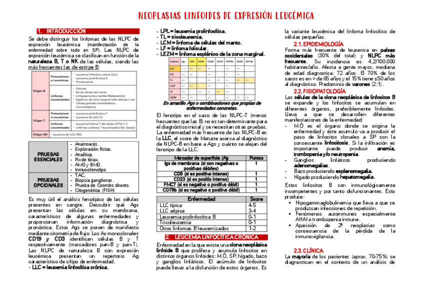 Miniatura del documento TEMA-22.pdf