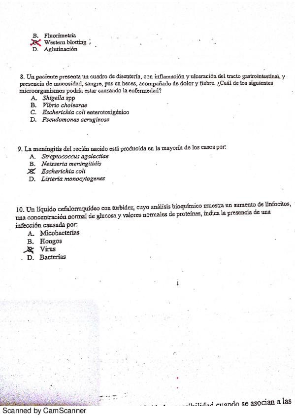 Miniatura del documento NuevoDocumento 8_1.pdf