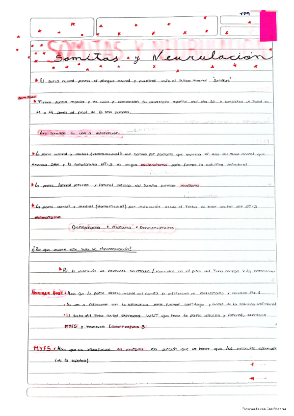 Miniatura del documento Somitas-y-Neurulacion.pdf