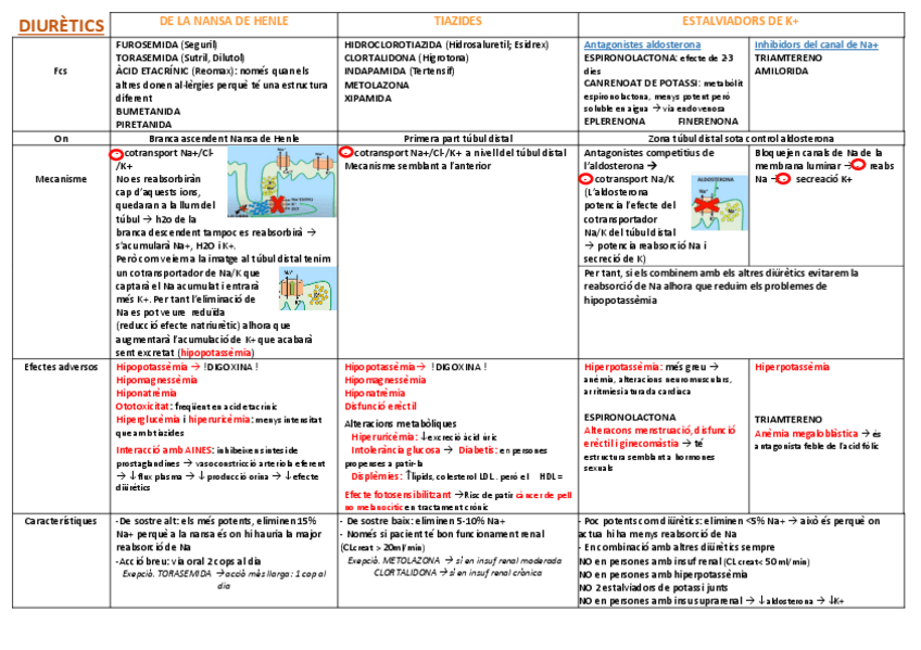 Miniatura del documento taules-resum-fcs-HTA.pdf