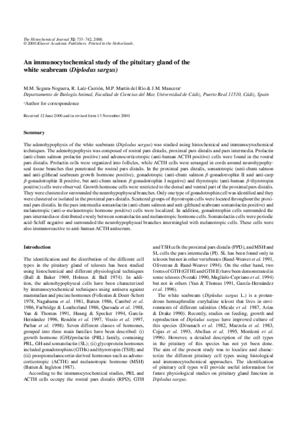Miniatura del documento ARTICULO-HIPOFISIS-SARGO.pdf