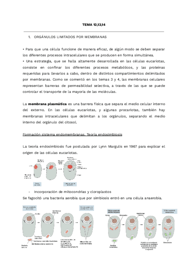 Miniatura del documento apuntes-biocel-t121314.pdf