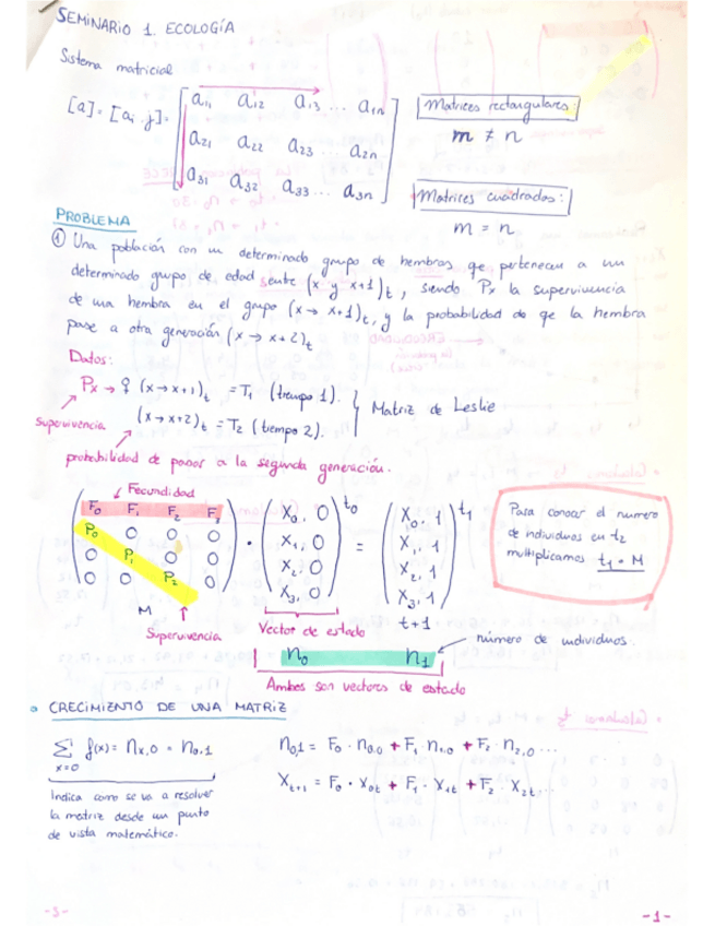 Miniatura del documento Seminario-Eco.pdf