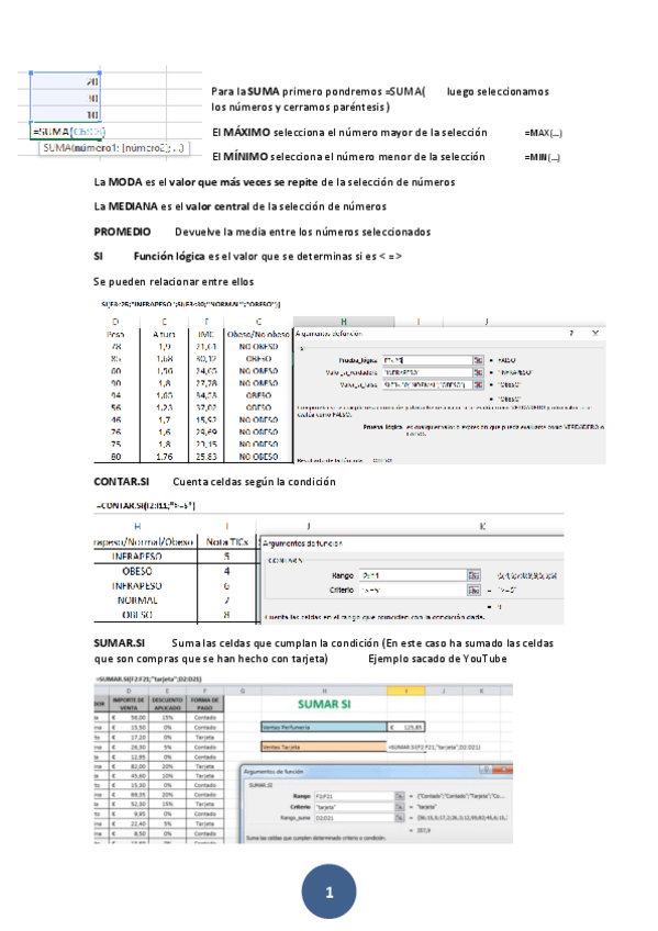 Miniatura del documento APUNTES-EXCEL-INFORMATICA-TICS.pdf