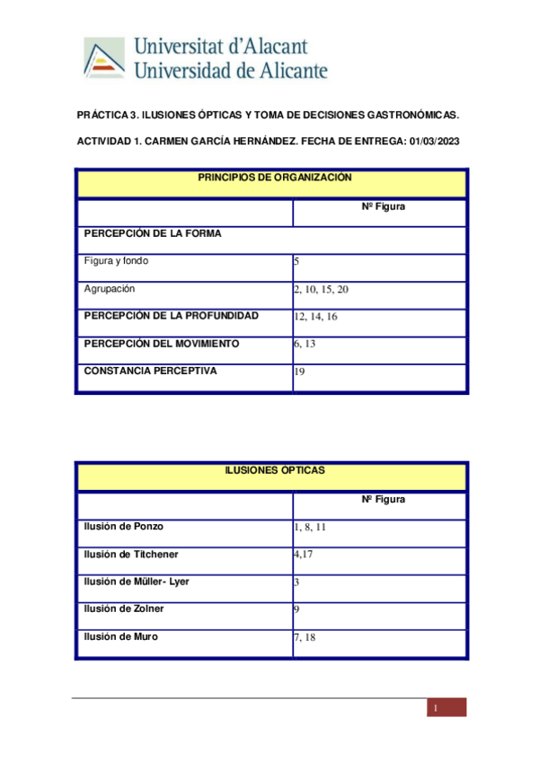 Miniatura del documento PRACTICA-3.-ILUSIONES-OPTICAS-Y-TOMA-DE-DECISIONES-GASTRONOMICAS.pdf