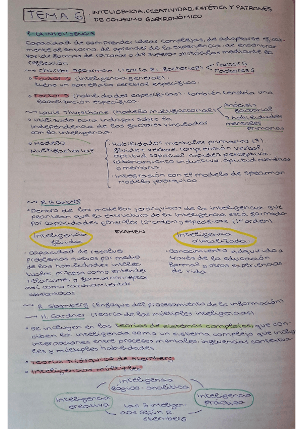 Miniatura del documento TEMA-6.-PROCESOS-PSICOLOGICOS-Y-GASTRONOMIA.pdf