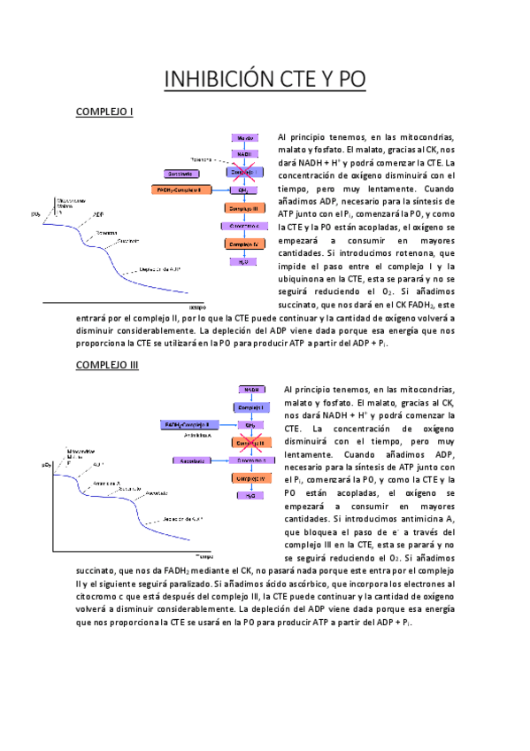 Miniatura del documento Inhibicion-CTE-y-PO-Bioquimica-1oNHD.pdf