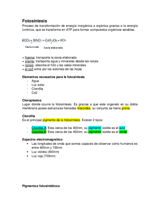 Miniatura del documento Fotosintesis.pdf