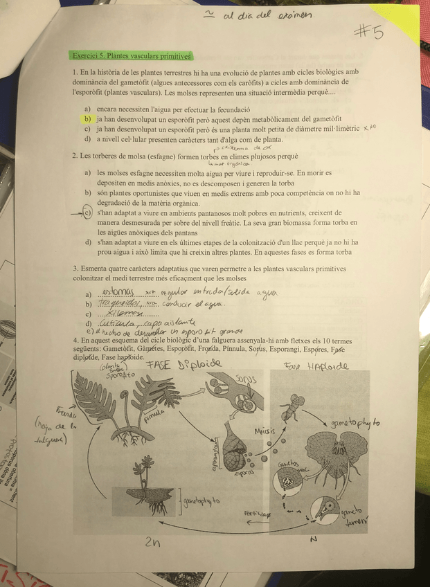 Miniatura del documento IMG_3417.jpg