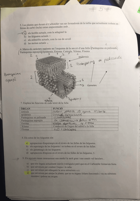 Miniatura del documento IMG_3418.jpg