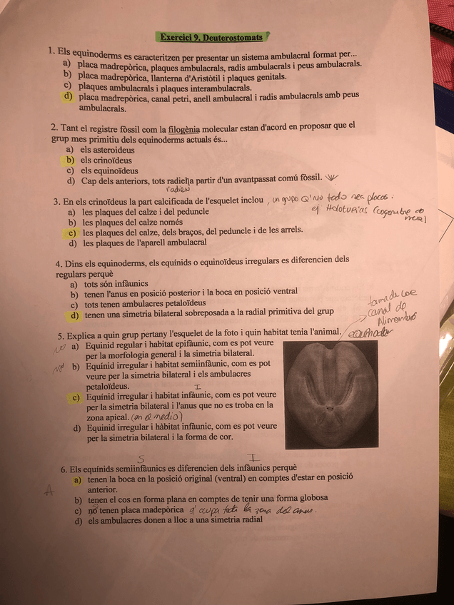 Miniatura del documento IMG_3425.jpg