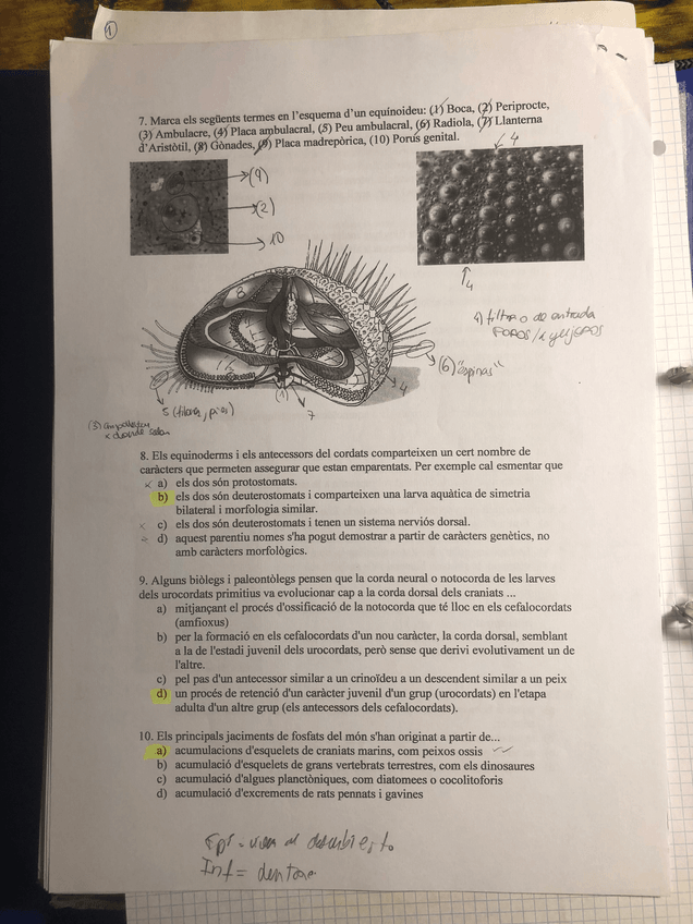 Miniatura del documento IMG_3426.jpg