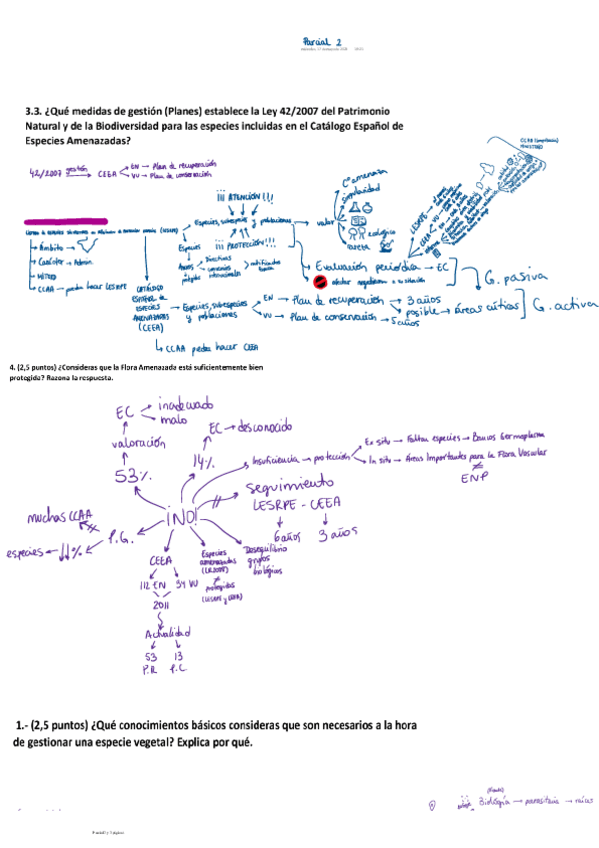 Miniatura del documento 2Parcial.pdf
