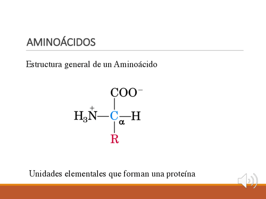 Miniatura del documento aminoacidos.pdf