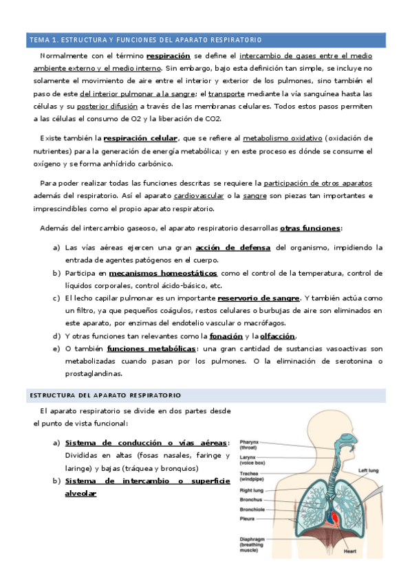 Miniatura del documento Tema-1-Estructura-y-funciones-del-A.-Respiratorio.pdf