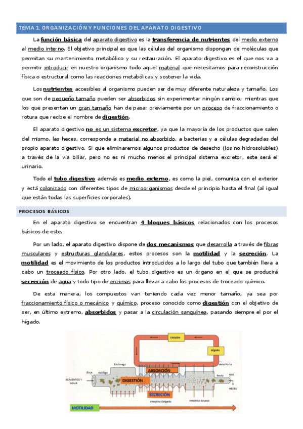 Miniatura del documento Tema-1-Organizacion-y-funciones-del-aparato-digestivo.pdf
