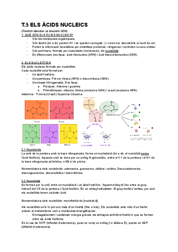 Miniatura del documento T.5-Acids-Nucleics.pdf
