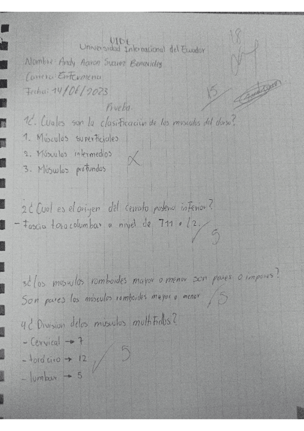 Miniatura del documento musculos-del-dorso.pdf