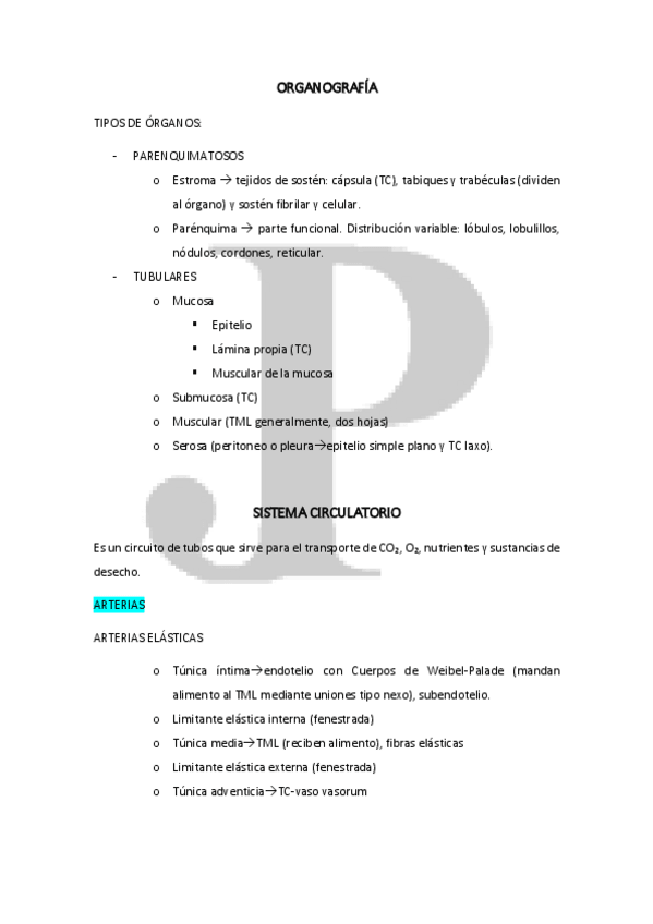 Miniatura del documento SISTEMA CIRCULATORIO- LINFOIDE, DIGESTIVO, RESPIRATORIO, HIGADO Y PANCREAS.pdf