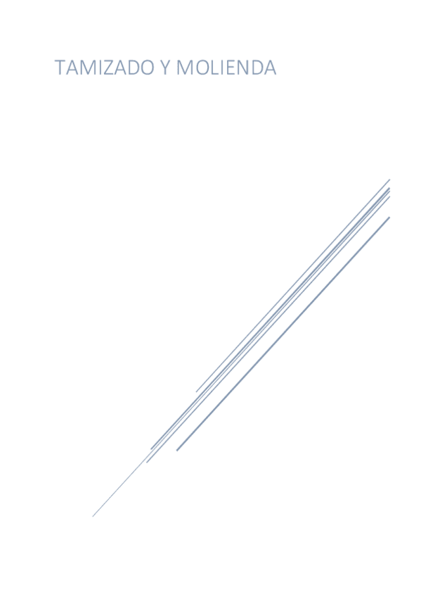 Miniatura del documento Guion-Tamizado-y-Molienda.pdf