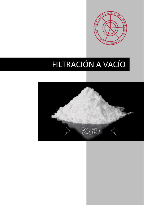 Miniatura del documento Informe-Filtracion-a-Vacio.pdf