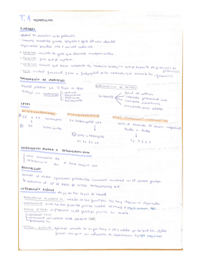 Miniatura del documento resumen-genetica.pdf