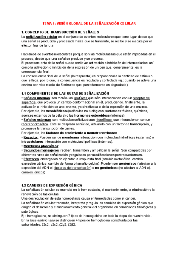 Miniatura del documento APUNTES-COMPLETOS-SENALIZACION.pdf