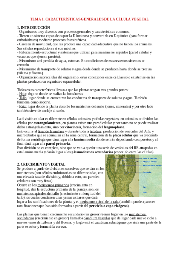 Miniatura del documento APUNTES-COMPLETOS-FISIOLOGIA-VEGETAL.pdf