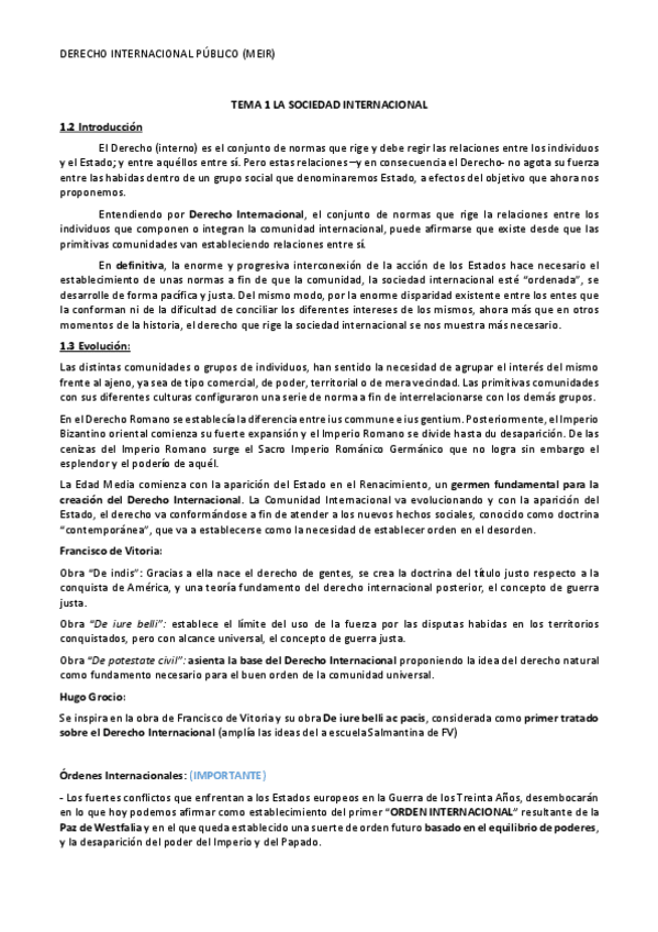 Miniatura del documento Resumen-Dcho-Internacional-Publico-MEIR.pdf