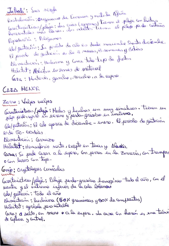 Miniatura del documento 17.jpg